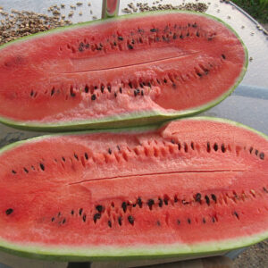 Watermelon Seeds