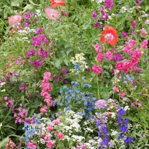 Flower Mix Shade
