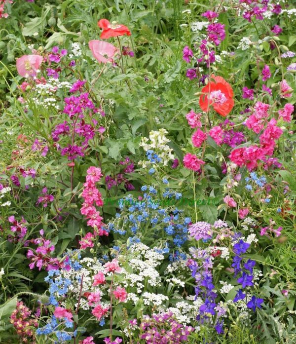 Flower Mix Shade
