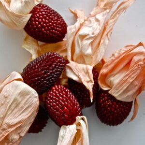 Sweet Corn Strawberry Organic
