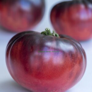 Tomato Indigo Blue Beauty
