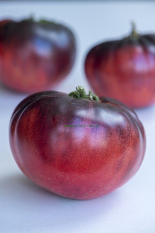 Tomato Indigo Blue Beauty
