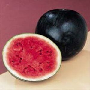 Water Melon Sugar Babe Organic