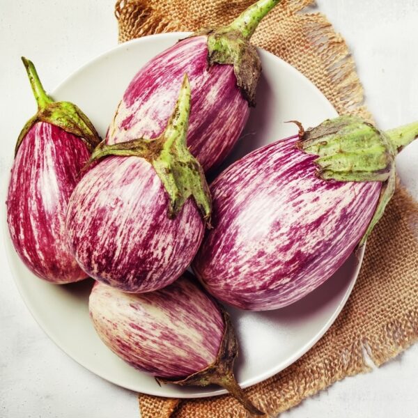 Aubergine Listada De Gandia - Image 3