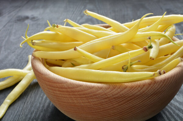 Dwarf Yellow French Bean Bergold - Image 2
