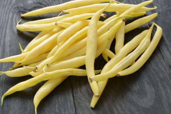 Dwarf Yellow French Bean Bergold