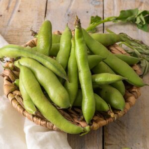 Broad Bean Grano Violetto Winter Hardy