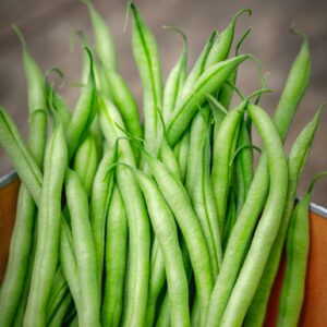 Dwarf French Bean Slenderette