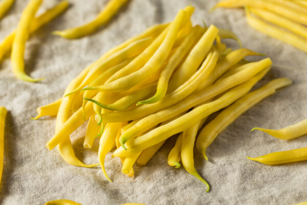 Climbing Yellow Bean Kentucky Wonder Wax - Image 2