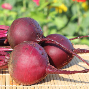 Organic Beetroot Detroit Dark Red