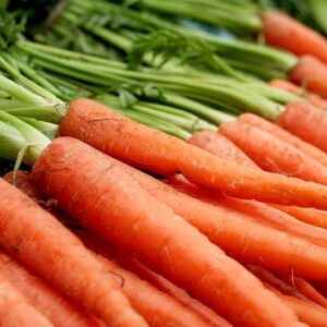 Carrot Scarlet Nantes