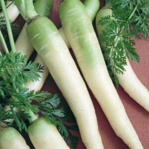 bright white carrots that have a green hue towards the stem