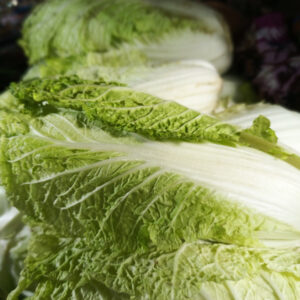 Chinese Cabbage Michihili