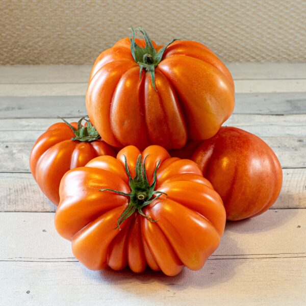 Italian Tomato Costoluto Fiorentino - Image 3