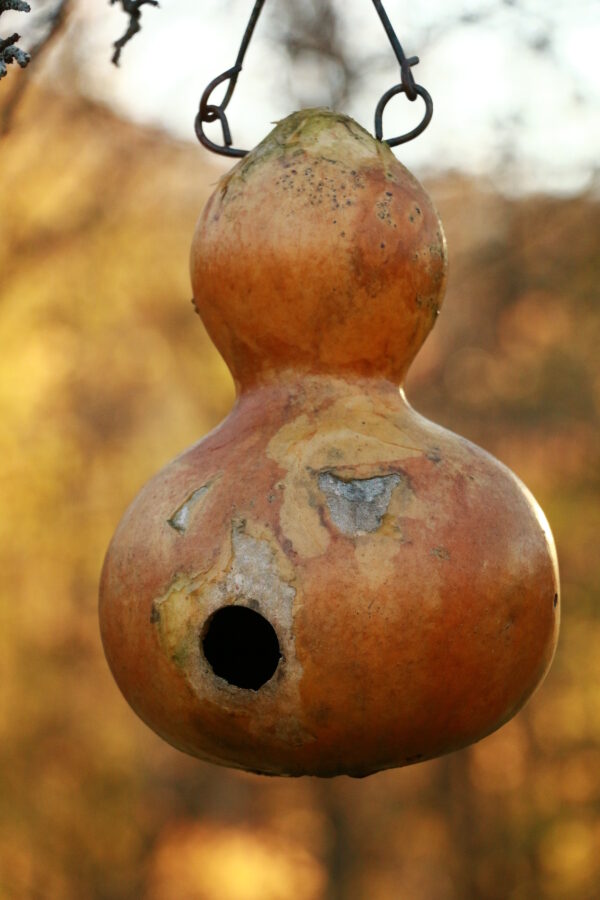 Gourd Birdhouse - Image 2