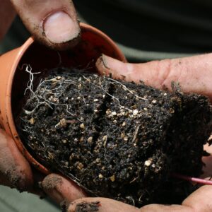Vermiculite Horticultural