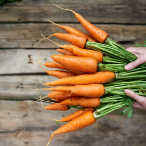 Organic Miniature Carrot Little Finger