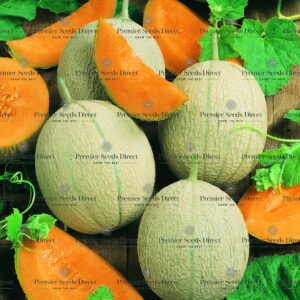 Organic Melon Cantaloupe Hearts of Gold