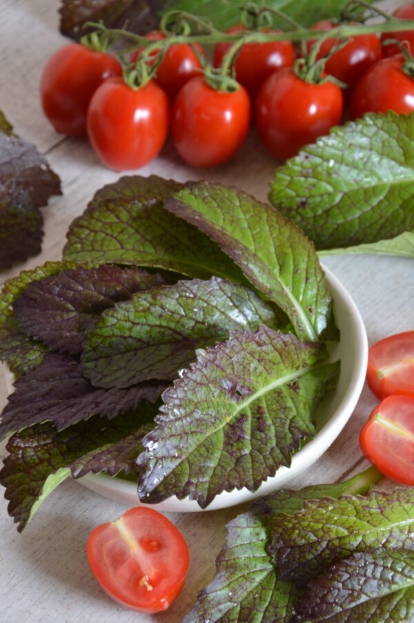 Organic Mustard Red Giant - Image 2