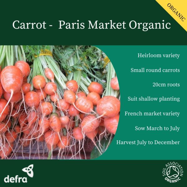 Organic Carrot Parisian Paris Market - Image 2