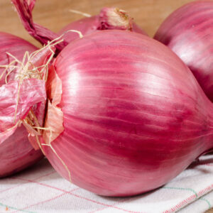 Onion Red Amposta