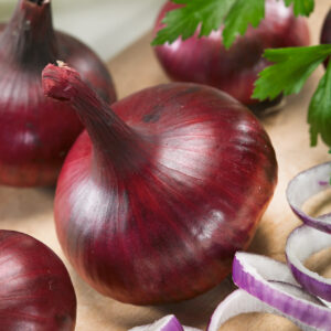 Onion Red Burgundy