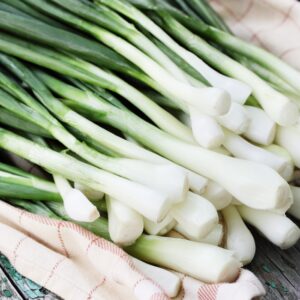 Onion Bunching (Spring) White Lisbon