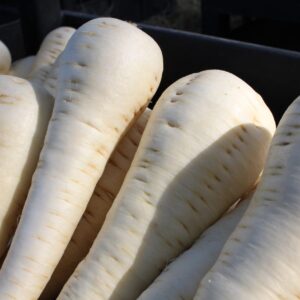 Parsnip Palace F1