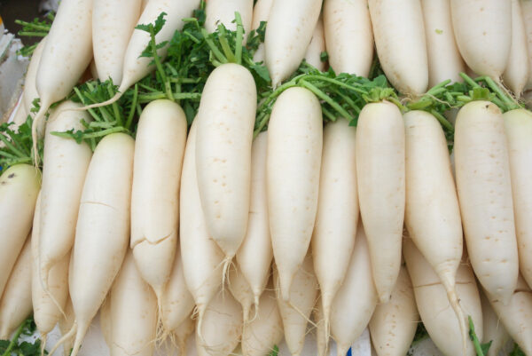 Radish - Birra Di Monaco Muncher Bier - Image 2
