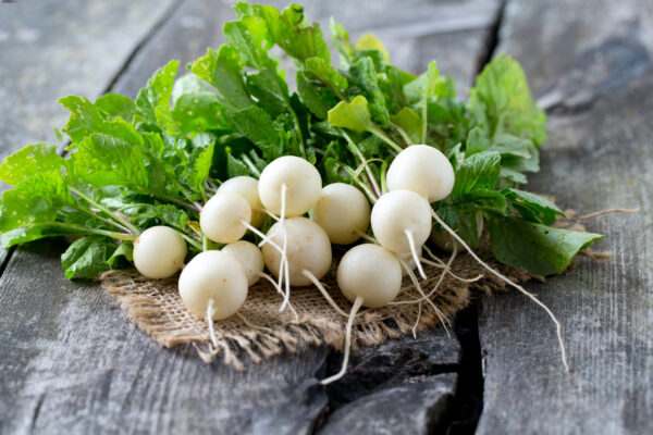 Radish - White Hailstone - Image 3