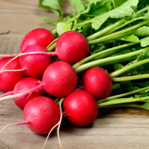 Organic Radish Saxa 2