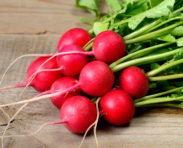 Radish Saxa 2 - Image 2