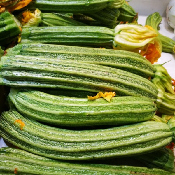 Italian Courgette Romanesco