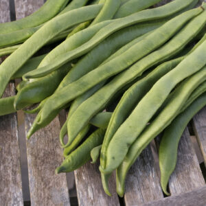 Organic Runner Bean White Emergo