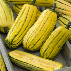 Organic Squash Delicata