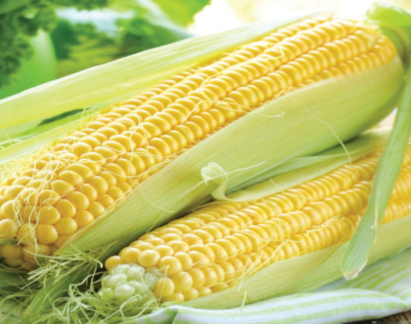 Sweet Corn Sweetcorn F1 Rising Sun