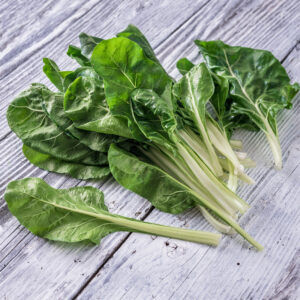 Swiss Chard - Fordhook Giant