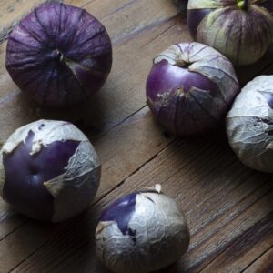 Tomatillo Purple Physalis Ixocarpa