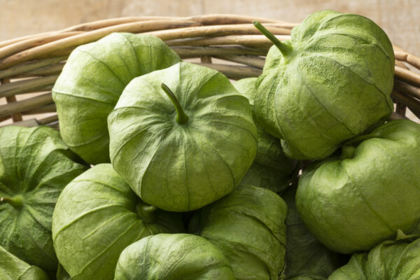 Tomatillo Verde Physalis Ixocarpa - Image 2