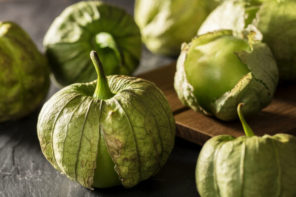 Tomatillo Verde Physalis Ixocarpa