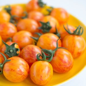 Tomato Cherry Artisan Golden Bumblebee