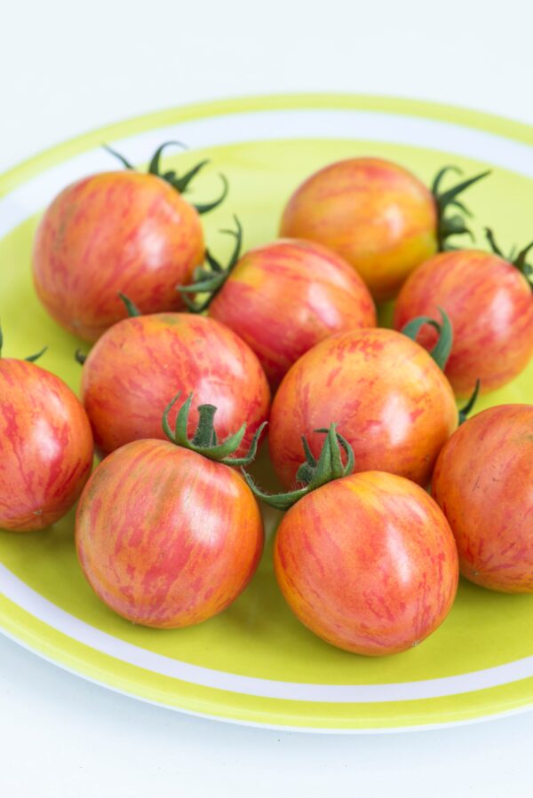 Tomato Cherry Artisan Pink Bumblebee - Image 2