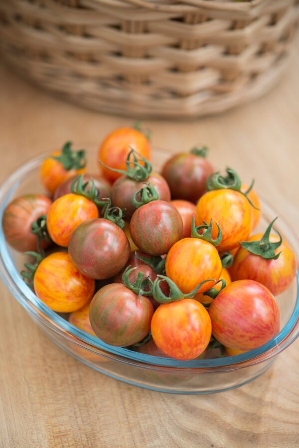 Tomato Cherry Artisan Pink Bumblebee - Image 3