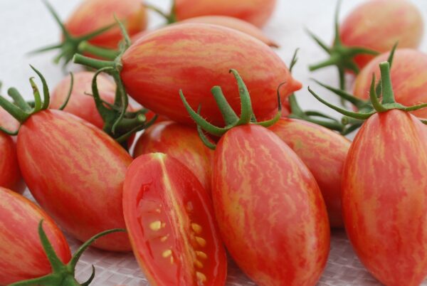 Tomato Cherry Artisan Pink Tiger new - Image 2
