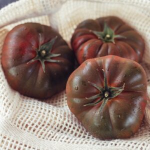 Tomato Purple Cherokee