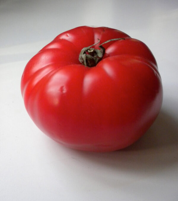 Tomato Delicious - Image 2