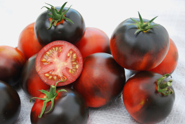 Tomato Indigo Apple - Image 2