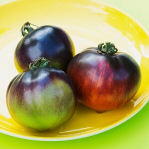 Tomato Indigo Apple