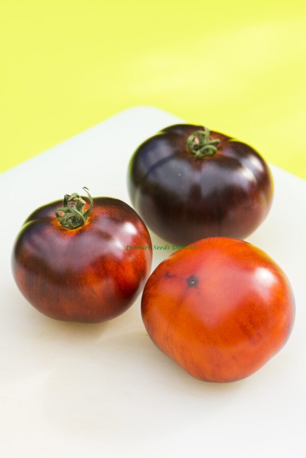 Tomato Indigo Apple - Image 4