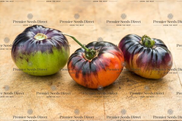 Tomato Indigo Blue Beauty - Image 2